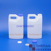 Beckman-Coulter Immunoassay Wash Reagent Flasche 2 Liter